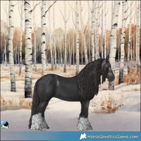 Horse Color:Powder White Gray Liver Chestnut Tobiano 