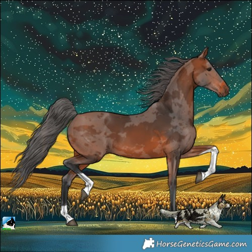 Horse Color:Bay Merle Tobiano 