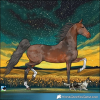 Horse Color:Bay Merle Tobiano