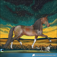 Horse Color:Bay Merle Tobiano 