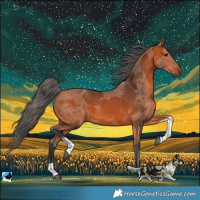 Horse Color:Bay Merle Tobiano