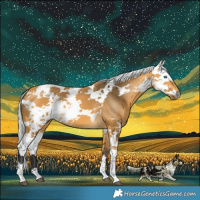 Horse Color:Buckskin Harlequin Merle Tobiano 