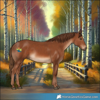Horse Color:Chestnut 