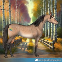 Horse Color:Bay Dun
