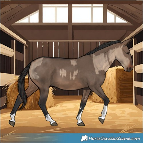 Horse Color:Brown Dun  and Brown Dun 