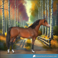 Horse Color:Brown 