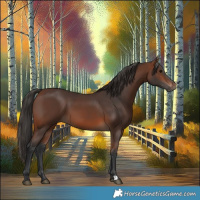 Horse Color:Brown 
