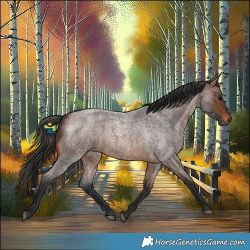 Horse Color:Brown Roan 