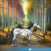Horse Color:Brown Appaloosa Rabicano 