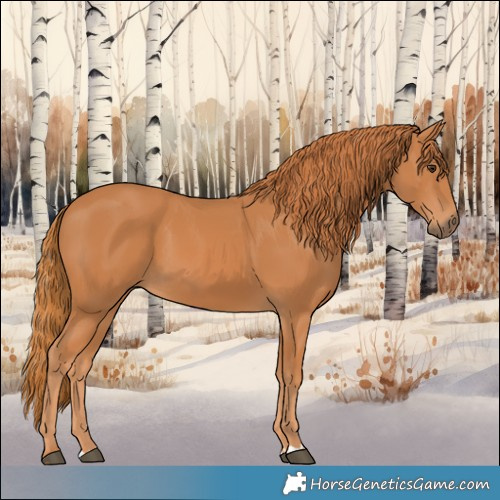Horse Color:Chestnut 