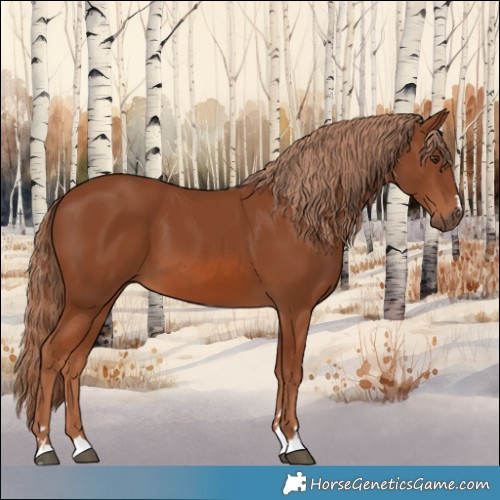 Horse Color:Chestnut 