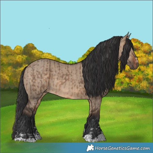Horse Color:Brown Dun and Brown Dun