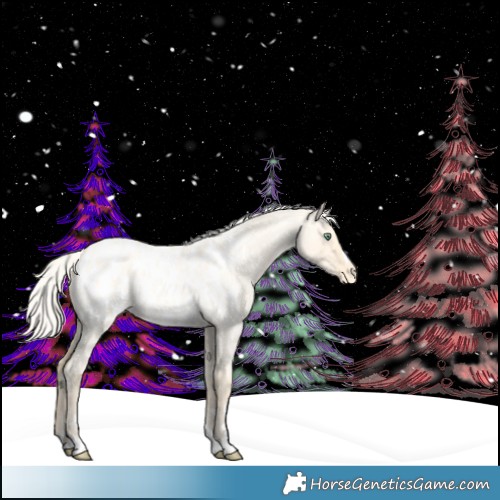 Horse Color:Silver Amber Cream Champagne Roan Dun Appaloosa Rabicano 
