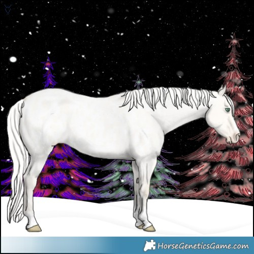 Horse Color:Silver Amber Cream Champagne Roan Dun Near Leopard Rabicano