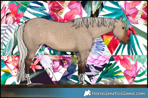 Horse Color:Silver Bay Dun and Silver Bay Dun
