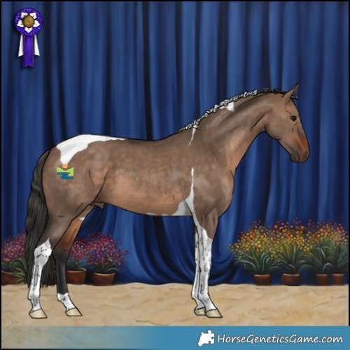 Horse Color:Bay Dun Tobiano 