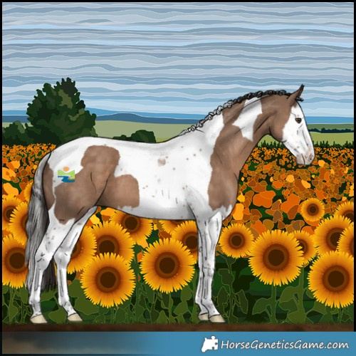 Horse Color:Liver Red Dun Splash Tobiano 