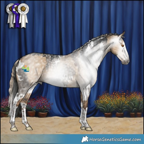 Horse Color:Gray White Spotted Grullo Splash  and Gray Liver Red Dun Splash 