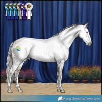 Horse Color:Gray White Spotted Grullo Splash  and Gray Liver Red Dun Splash 