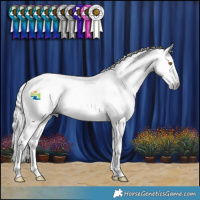 Horse Color:Gray White Spotted Grullo Splash and Gray Liver Red Dun Splash
