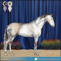 Horse Color:Gray White Spotted Grullo Splash and Gray Liver Red Dun Splash
