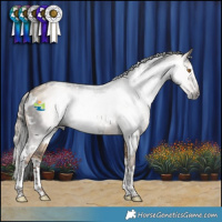 Horse Color:Gray White Spotted Grullo Splash  and Gray Liver Red Dun Splash 