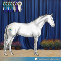 Horse Color:Gray White Spotted Grullo Splash  and Gray Liver Red Dun Splash 