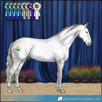 Horse Color:Gray White Spotted Grullo Splash and Gray Liver Red Dun Splash
