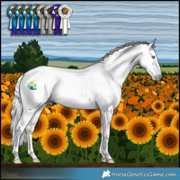 Horse Color:Gray White Spotted Grullo Splash  and Gray Liver Red Dun Splash 