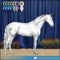 Horse Color:Gray White Spotted Grullo Splash and Gray Liver Red Dun Splash