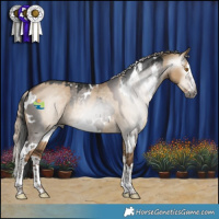 Horse Color:Gray White Spotted Grullo Splash and Gray Liver Red Dun Splash