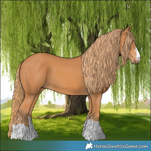 Horse Color:Chestnut 