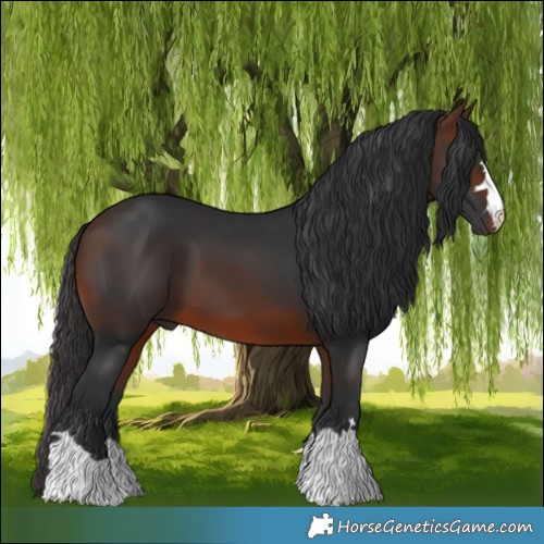 Horse Color:Brown 