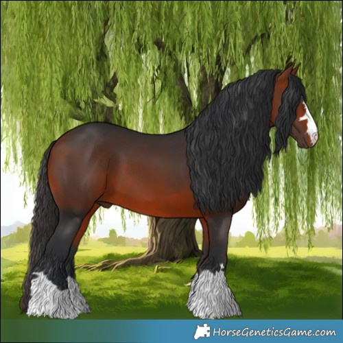 Horse Color:Brown 