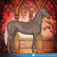 Horse Color:Silver Black Rabicano 