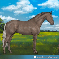 Horse Color:Silver Black 