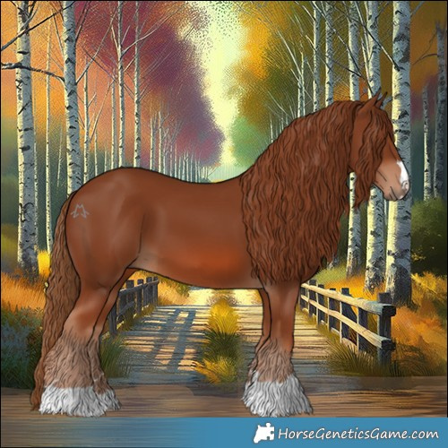 Horse Color:Chestnut 