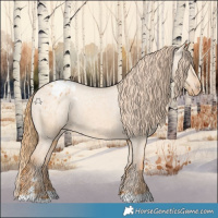 Horse Color:Red Dun Varnish 