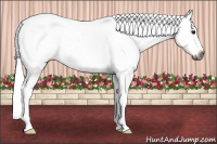 Horse Color:Gray Smoky Grullo Roan Varnish 