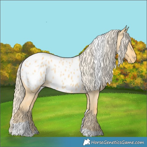 Horse Color:Palomino Dun Tobiano Blanket 