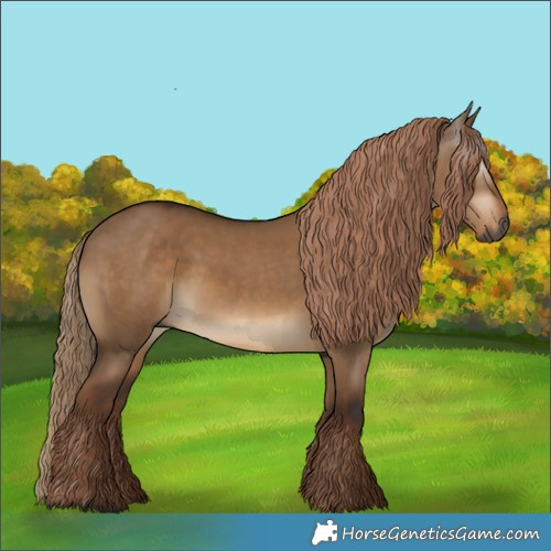 Horse Color:Gray Liver Red Dun 
