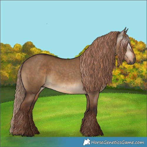 Horse Color:Gray Liver Red Dun