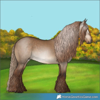 Horse Color:Gray Liver Red Dun 