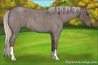 Horse Color:Silver Blue Roan 