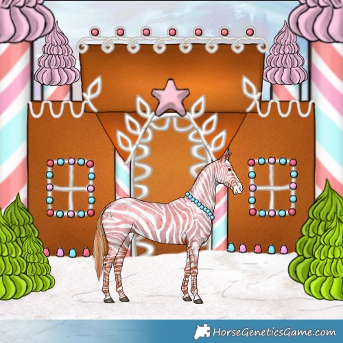 Horse Color:Chestnut Appaloosa 