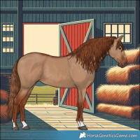 Horse Color:Red Dun 