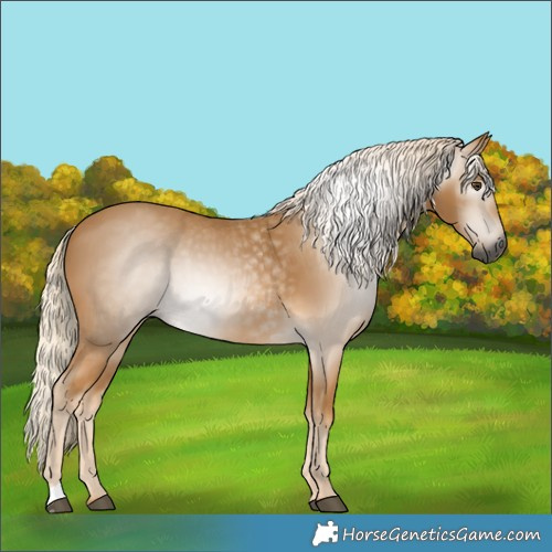 Horse Color:Gray Palomino 