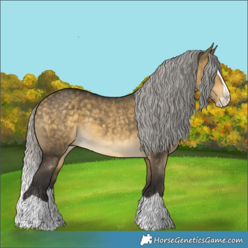 Horse Color:Silver Buckskin Dun Splash 