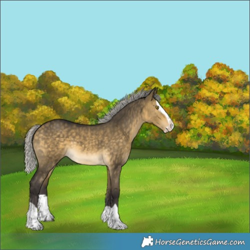 Horse Color:Silver Buckskin Dun Splash 