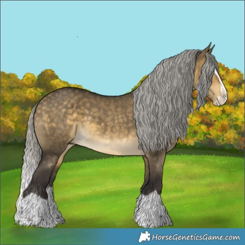 Horse Color:Silver Buckskin Dun Splash 